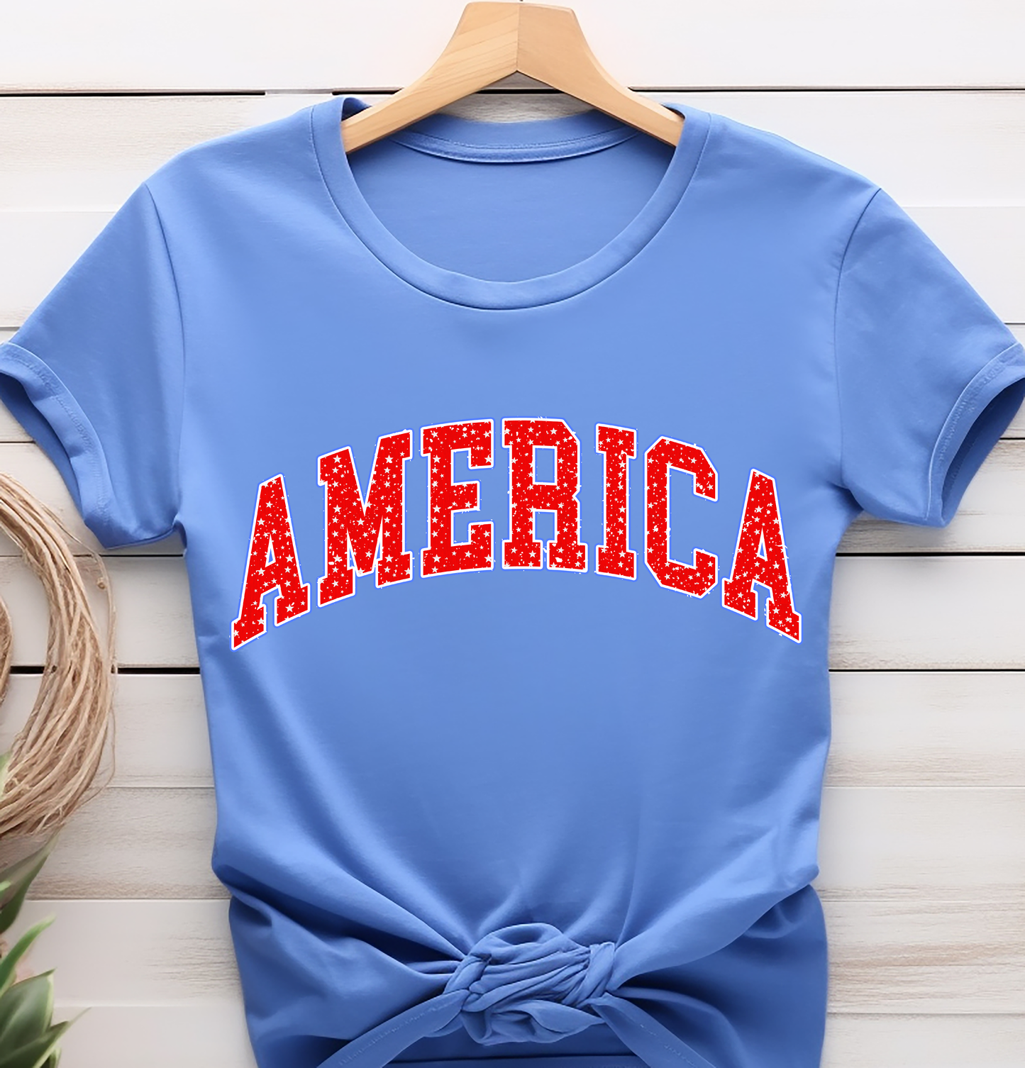 America - 4th of July - DTF Transfer