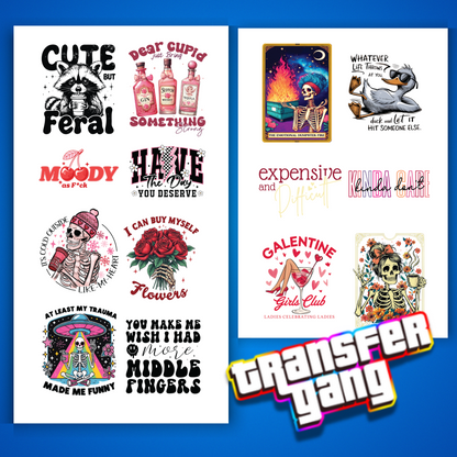 Zero Filters! Sarcastic Adult DTF Transfers Bundle – 14 Ready to Press Designs 